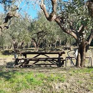 Cele Séjour à la ferme Celle Ligure